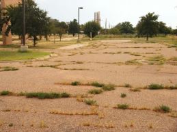 reasons-to-sealcoat-your-parking-lot