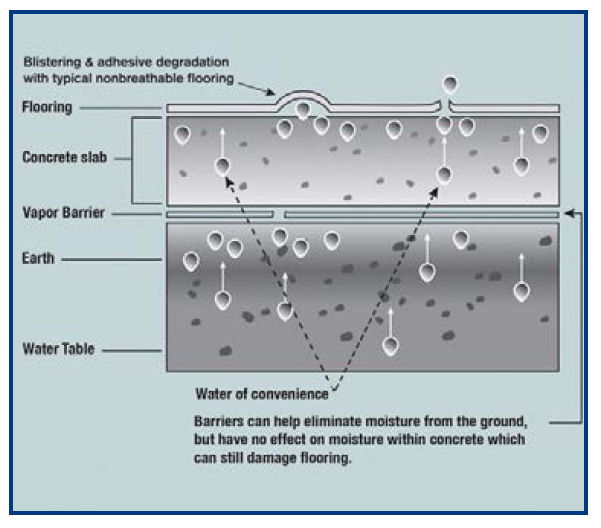 flooring-moisture