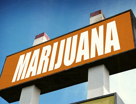 New Jersey Marijuana Reform