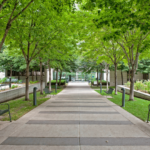 NYC Sidewalk Sheds Cost Businesses Thousands Monthly