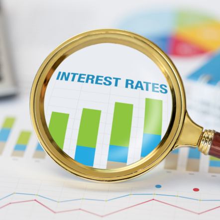 Federal Reserve Holds Interest Rates Steady