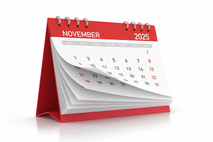 November 2025 Newsletter